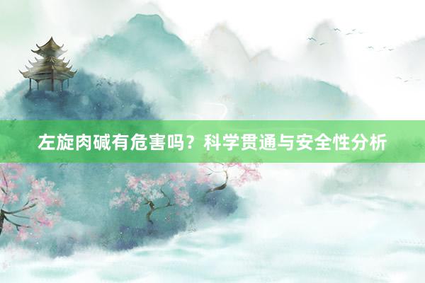 左旋肉碱有危害吗？科学贯通与安全性分析