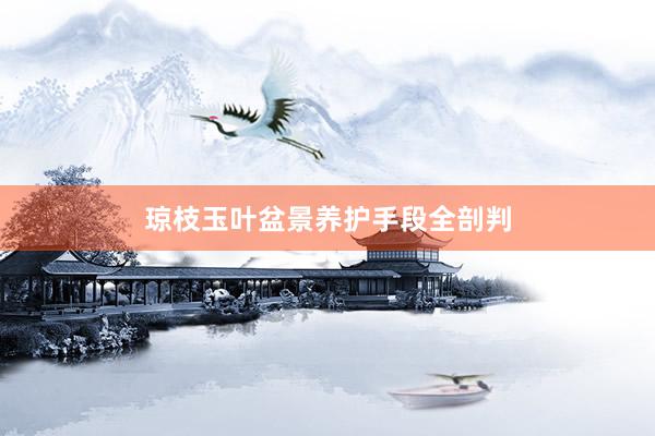 琼枝玉叶盆景养护手段全剖判